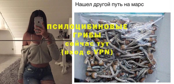 амф Алзамай