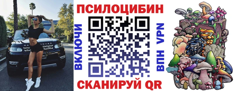 гидра ССЫЛКА Лагань Псилоцибиновые грибы мухоморы